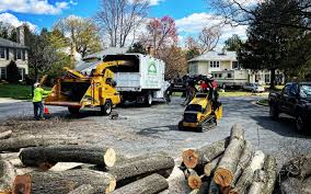 Best Storm Damage Tree Cleanup  in Wailua, HI